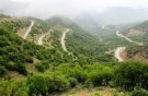 کاشت ۱.۴ میلیون هکتار جنگل دست‌کاشت در دهه‌های اخیر