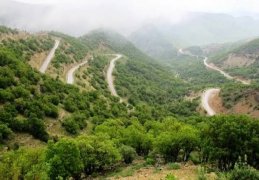 کاشت ۱.۴ میلیون هکتار جنگل دست‌کاشت در دهه‌های اخیر